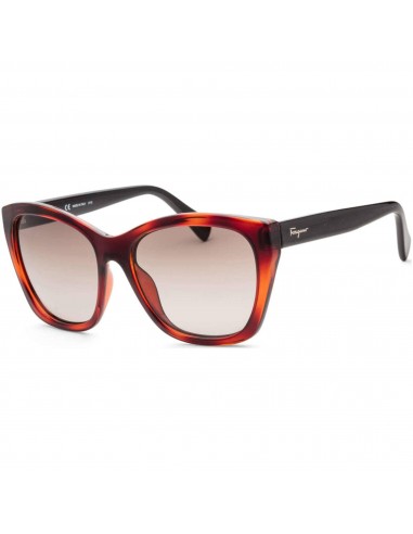 Salvatore Ferragamo Women's Sunglasses - Tortoise | SALVATORE FERRAGAMO SF957S 214 Amélioration de cerveau avec