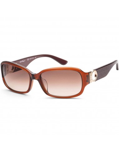 Salvatore Ferragamo Women's Sunglasses - Full Rim | SALVATORE FERRAGAMO SF608SA 210 Comparez et commandez 