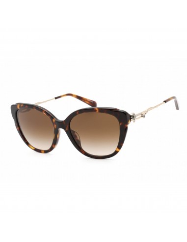 Coach Women's Sunglasses - Full Rim Dark Havana Plastic Cat Eye | 0HC8347BU 512013 à prix réduit toute l'année